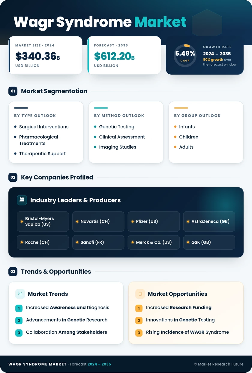 WAGR Syndrome Market Research Report — Global Forecast till 2035 Infographic