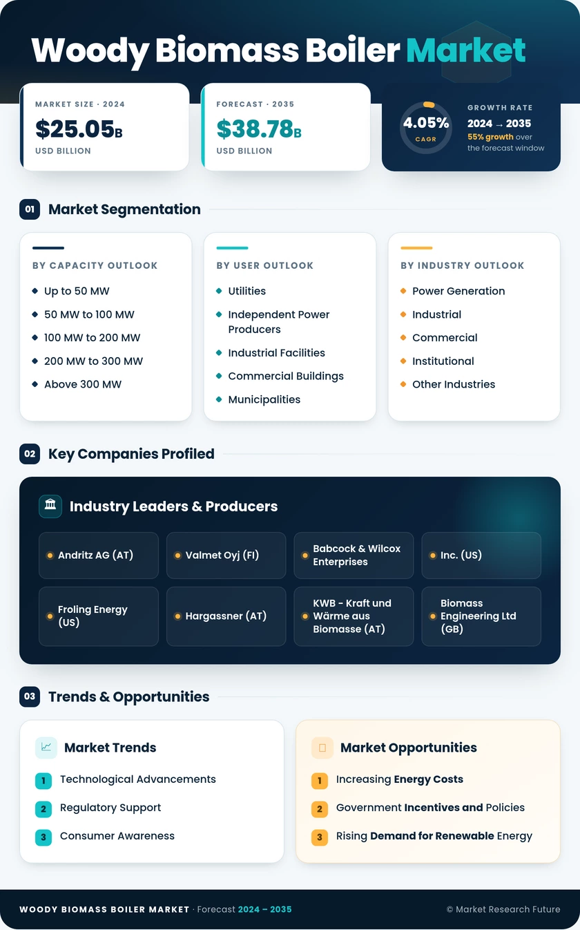 Woody Biomass Boiler Market Research Report — Global Forecast till 2035 Infographic