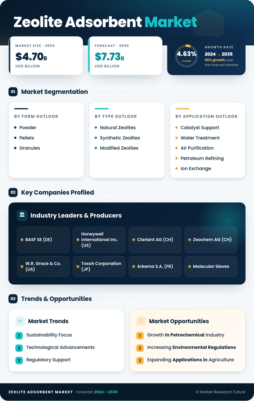 Zeolite Adsorbent Market Research Report — Global Forecast till 2035 Infographic