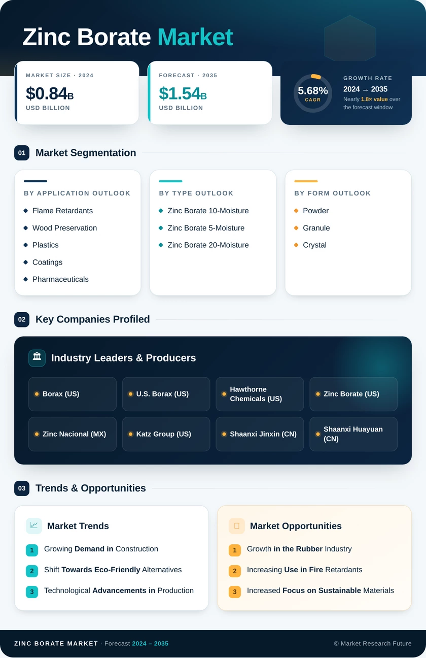 Zinc Borate Market Research Report — Global Forecast till 2035 Infographic