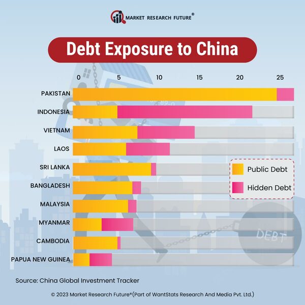Debt Exposure to China