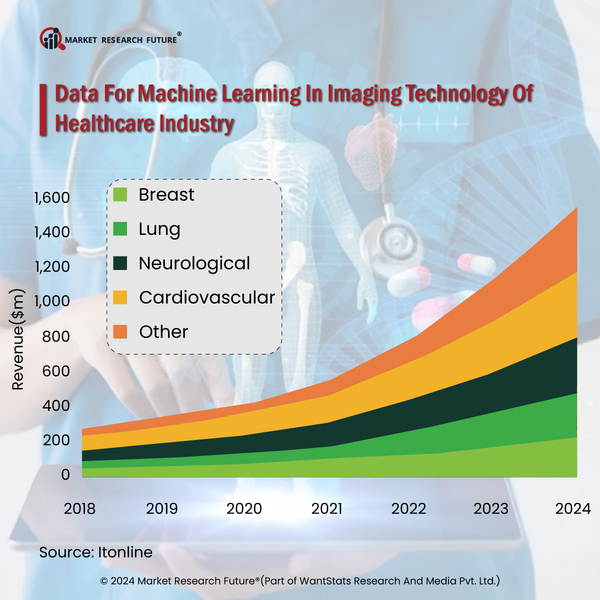 Healthcare Industry To Create Better Results With Innovative Ideas In 2024