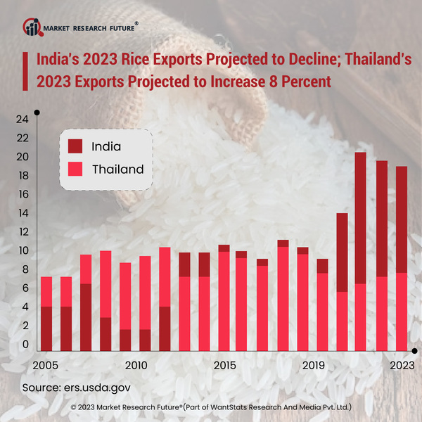 Rice Production Trends in 2023