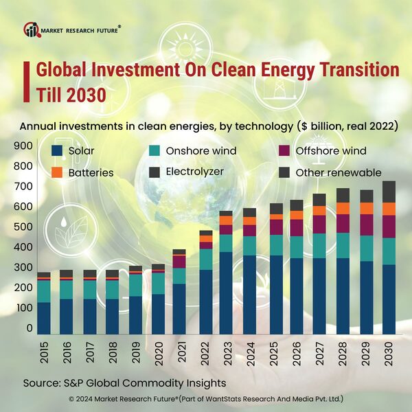 2024 Marks the Surge in Sustainable Goals with Different Strategies