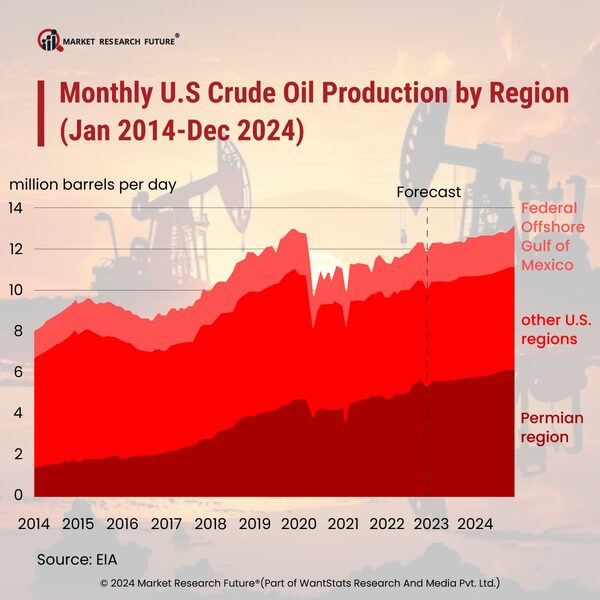 US Crude Oil Production Expected to Face Flatlines in 2024