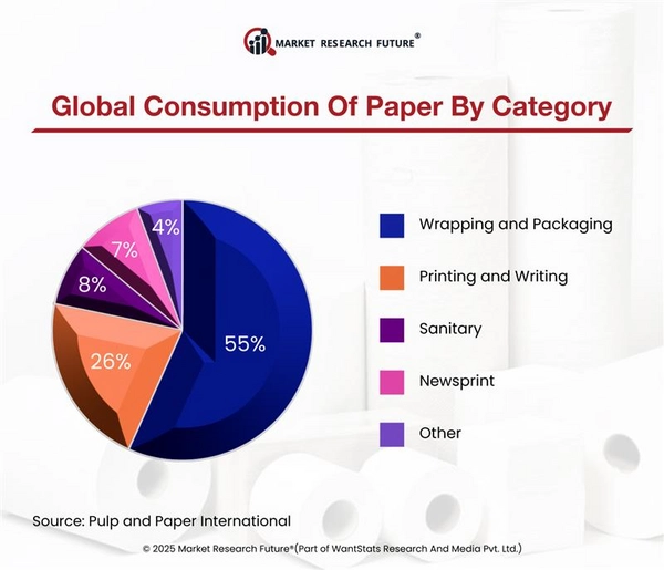 Sustainable Packaging in 2025: Is Paper the New Gold Standard? - News