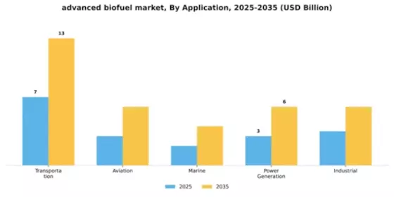 Advanced Biofuels Market Segment Image 0
