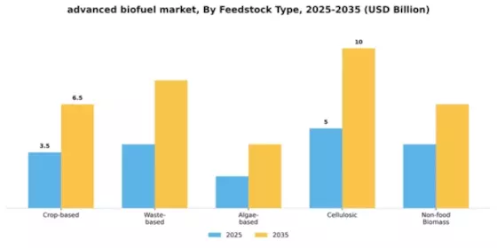 Advanced Biofuels Market Segment Image 2