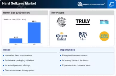 Hard Seltzers Market Infographic