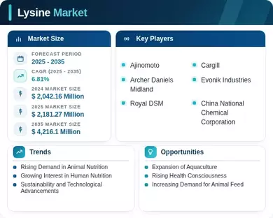 Lysine Market Infographic