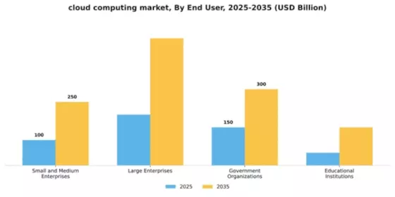 Cloud Computing Market Segment Image 2
