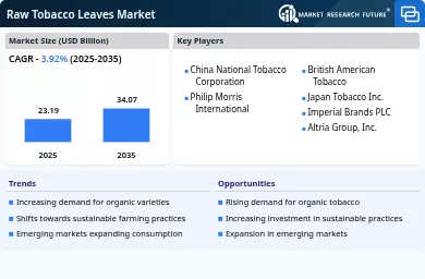 us raw tobacco leaves market Raw Tobacco Leaves Market Analysis us raw tobacco leaves market Raw Tobacco Leaves Market Analysis