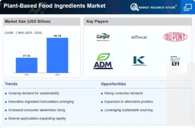 Plant Based Food Ingredients Market Infographic