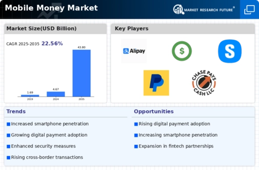 Mobile Money Market Infographic