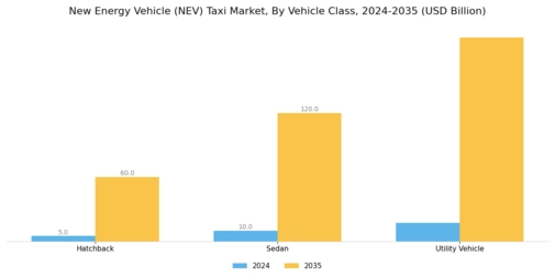 New Energy Vehicle Taxi Market Segment Image 2