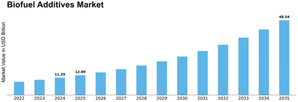 Biofuel Additives Market Size