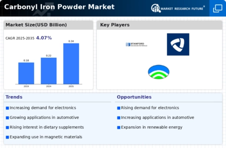 Carbonyl Iron Powder Market Infographic