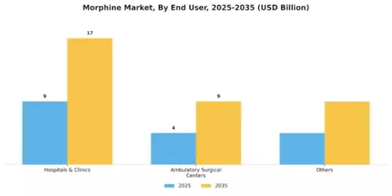 Morphine Market Segment Image 3