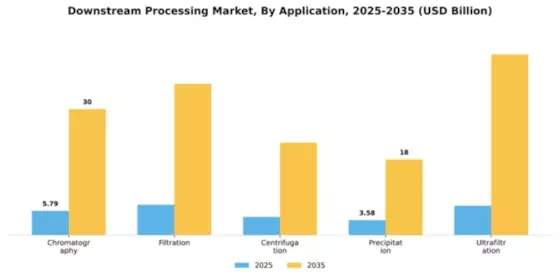 Downstream Processing Market Segment Image 0