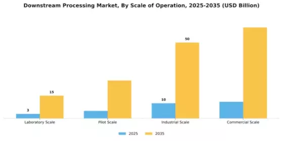 Downstream Processing Market Segment Image 3