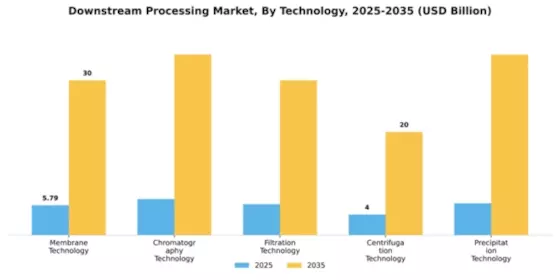 Downstream Processing Market Segment Image 4