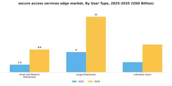 Secure Access Services Edge Market Segment Image 4