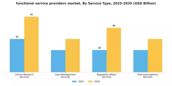 Functional Service Providers (FSP) Market Segment Image 2