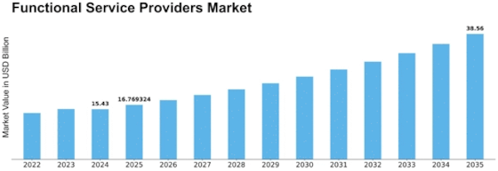Functional Service Providers (FSP) Market Size