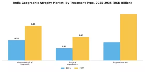 Geographic Atrophy GA Market Segment Image 4