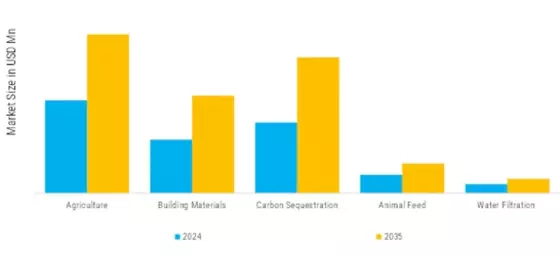 Biochar Market Segment Image 0