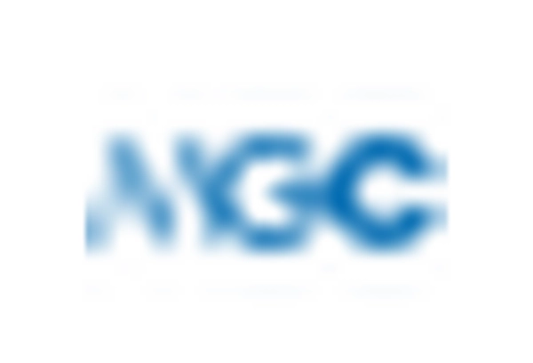 Meta Xylene Market key player