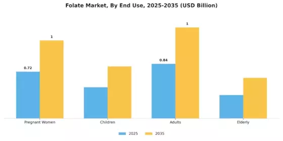Folate Market Segment Image 1