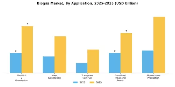 Biogas Market Segment Image 0