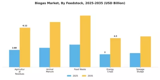 Biogas Market Segment Image 2