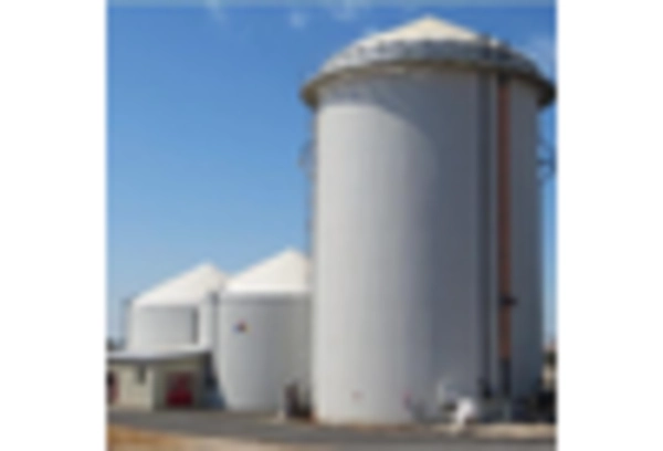 Biogas Market key player
