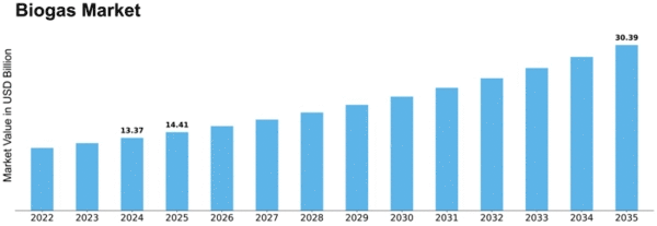 Biogas Market Size
