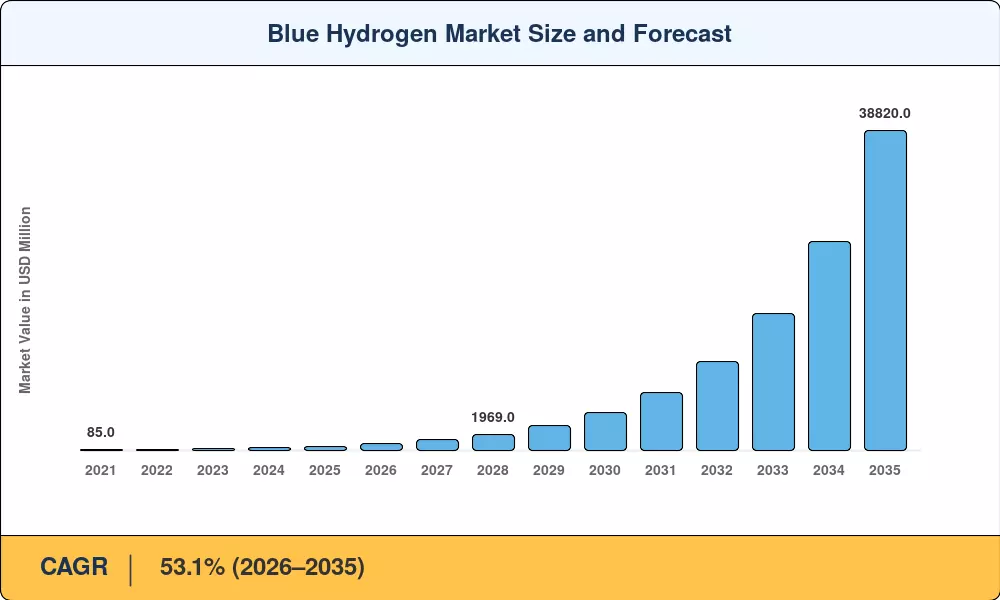 Blue Hydrogen Market Size and Forecast