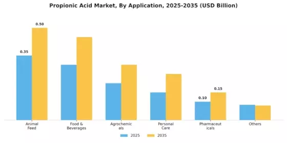Propionic Acid Market Segment Image 0