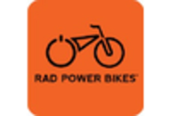 Cargo Bike Market key player