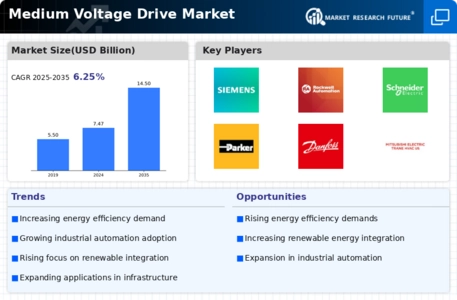 Medium Voltage Drives Market Infographic