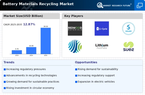 Battery Materials Recycling Market Research Report — Global Forecast till 2032 Infographic