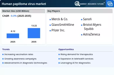 Human Papilloma Virus Market Infographic