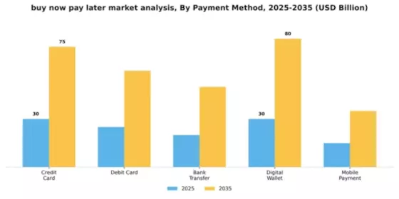 Buy Now Pay Later (BNPL) Market Segment Image 4