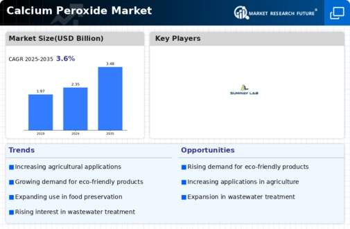 Calcium Peroxide Market Research Report—Global Forecast till 2034 Infographic