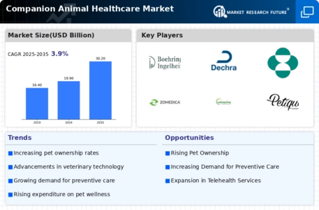 Companion Animal Healthcare Market Infographic