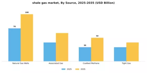 Shale Gas Market Segment Image 2