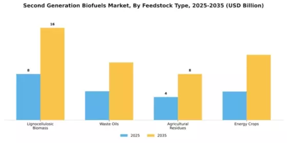 Second Generation Bio fuels Market Segment Image 2
