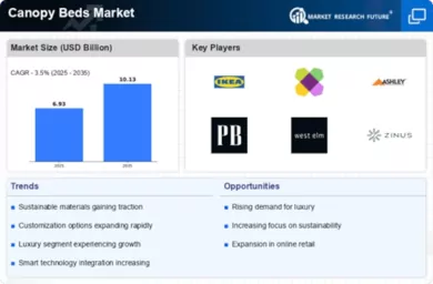 Canopy Beds Market Infographic