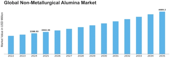 Non Metallurgical Alumina Market Size