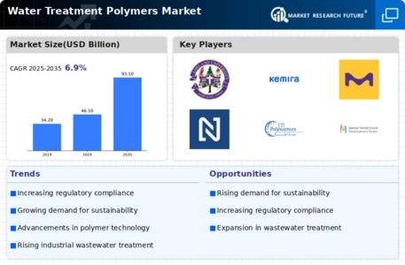 Water Treatment Polymers Market Infographic